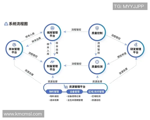深圳乒乓球队区域防守革新之路探索与实践分析